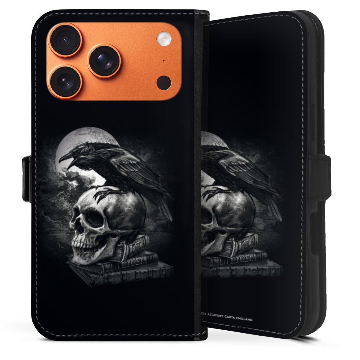 Poe's Raven
