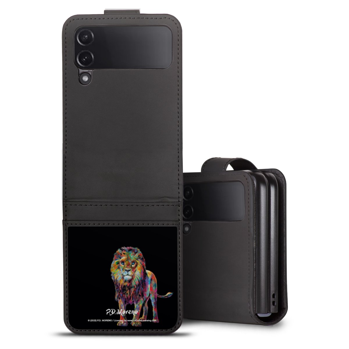 Leone colorato da P.D. Moreno