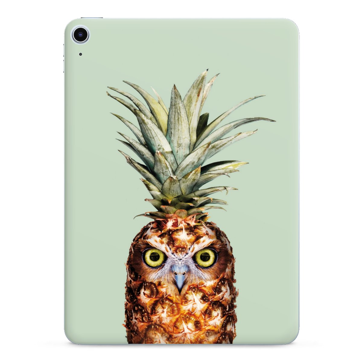 Hibou de l'ananas