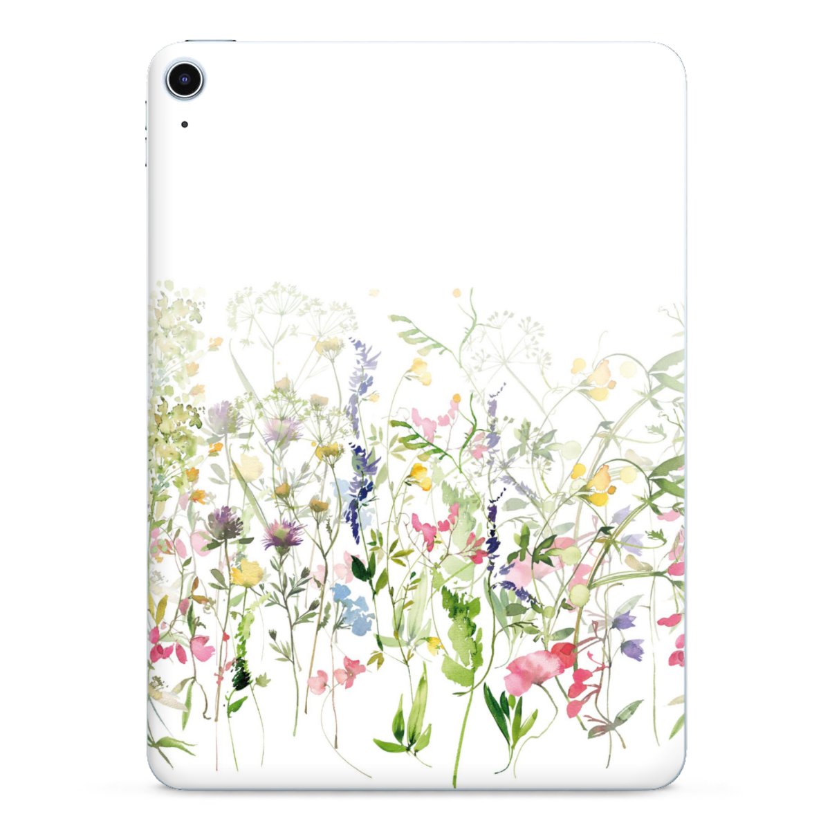 Fleurs de prairie printanières colorées