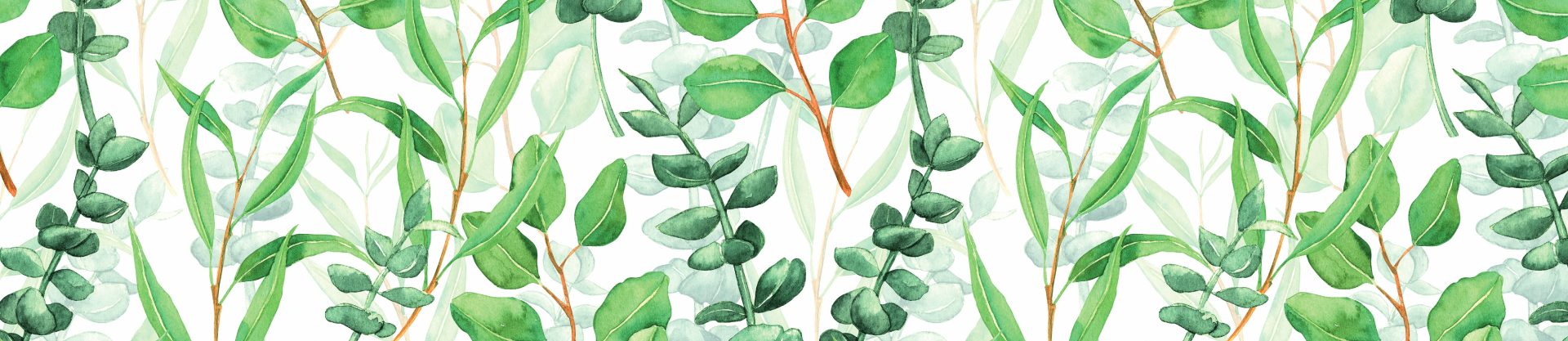 Plantes