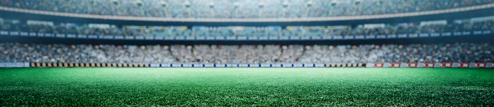 Bundesliga