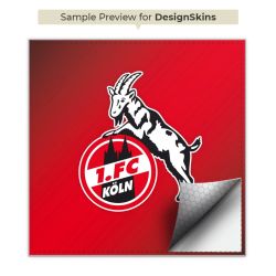 Folien für Spielekonsolen matt