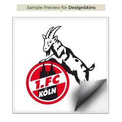 Folien für Spielekonsolen matt