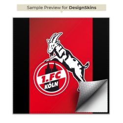 Folien für Spielekonsolen matt