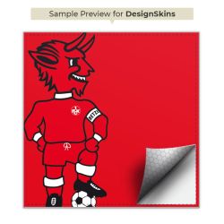 Folien für Spielekonsolen matt