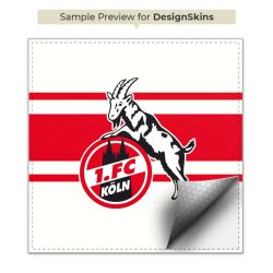 Folien für Spielekonsolen matt