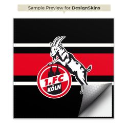 Folien für Spielekonsolen matt