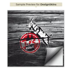 Folien für Spielekonsolen matt