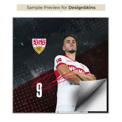 Folien für Spielekonsolen matt