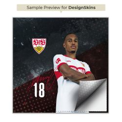 Folien für Spielekonsolen matt