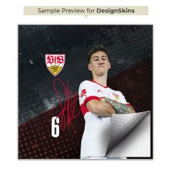 Folien für Spielekonsolen matt