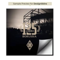 Folien für Spielekonsolen matt