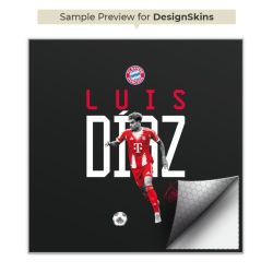 Foils for Controller matt