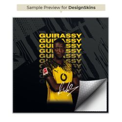 Foils for Controller matt