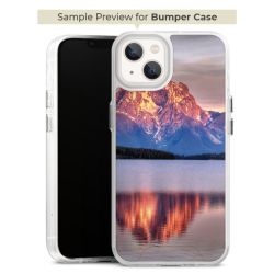 Bumper Case transparent single