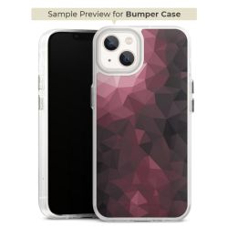 Bumper Case transparent