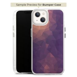 Bumper Case transparent