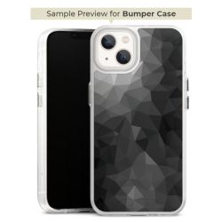 Bumper Case transparent