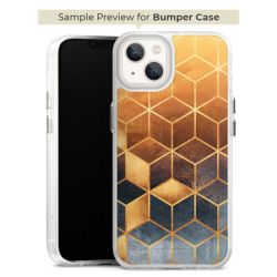 Bumper Case transparent