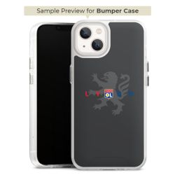 Bumper Case transparent