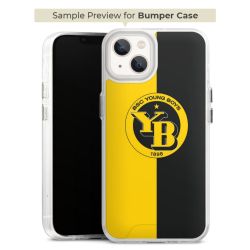 Bumper Case transparent