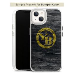 Bumper Case transparent