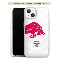 Bumper Case transparent