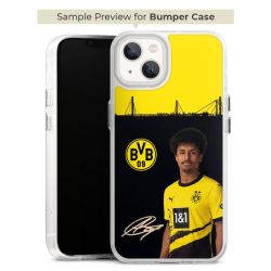 Bumper Case transparent