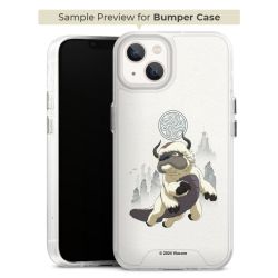 Bumper Case transparent