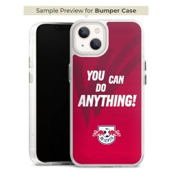 Bumper Case transparent