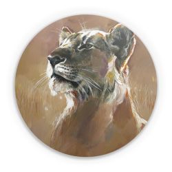 Folien für weitere Geräte matt