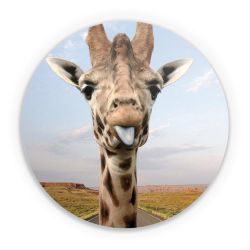 Folien für weitere Geräte matt