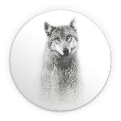 Folien für weitere Geräte matt