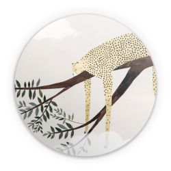 Folien für weitere Geräte matt