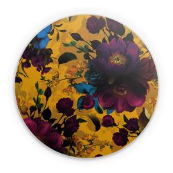 Folien für weitere Geräte matt