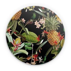 Folien für weitere Geräte matt