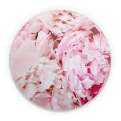 Folien für weitere Geräte matt