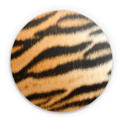 Folien für weitere Geräte matt