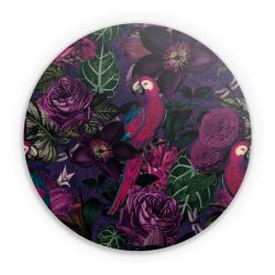 Folien für weitere Geräte matt