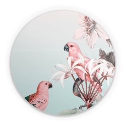 Folien für weitere Geräte matt