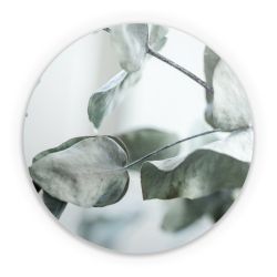 Folien für weitere Geräte matt