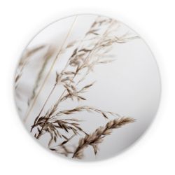 Folien für weitere Geräte matt