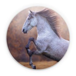 Folien für weitere Geräte matt