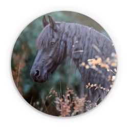 Folien für weitere Geräte matt