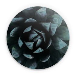 Folien für weitere Geräte matt