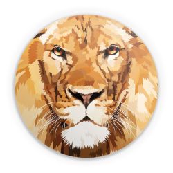 Folien für weitere Geräte matt