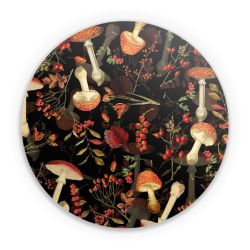 Folien für weitere Geräte matt