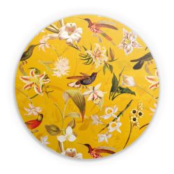 Folien für weitere Geräte matt