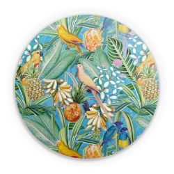 Folien für weitere Geräte matt